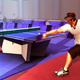 Illustration for article titled Swords and Paddles: Sports Champions on PlayStation Move
